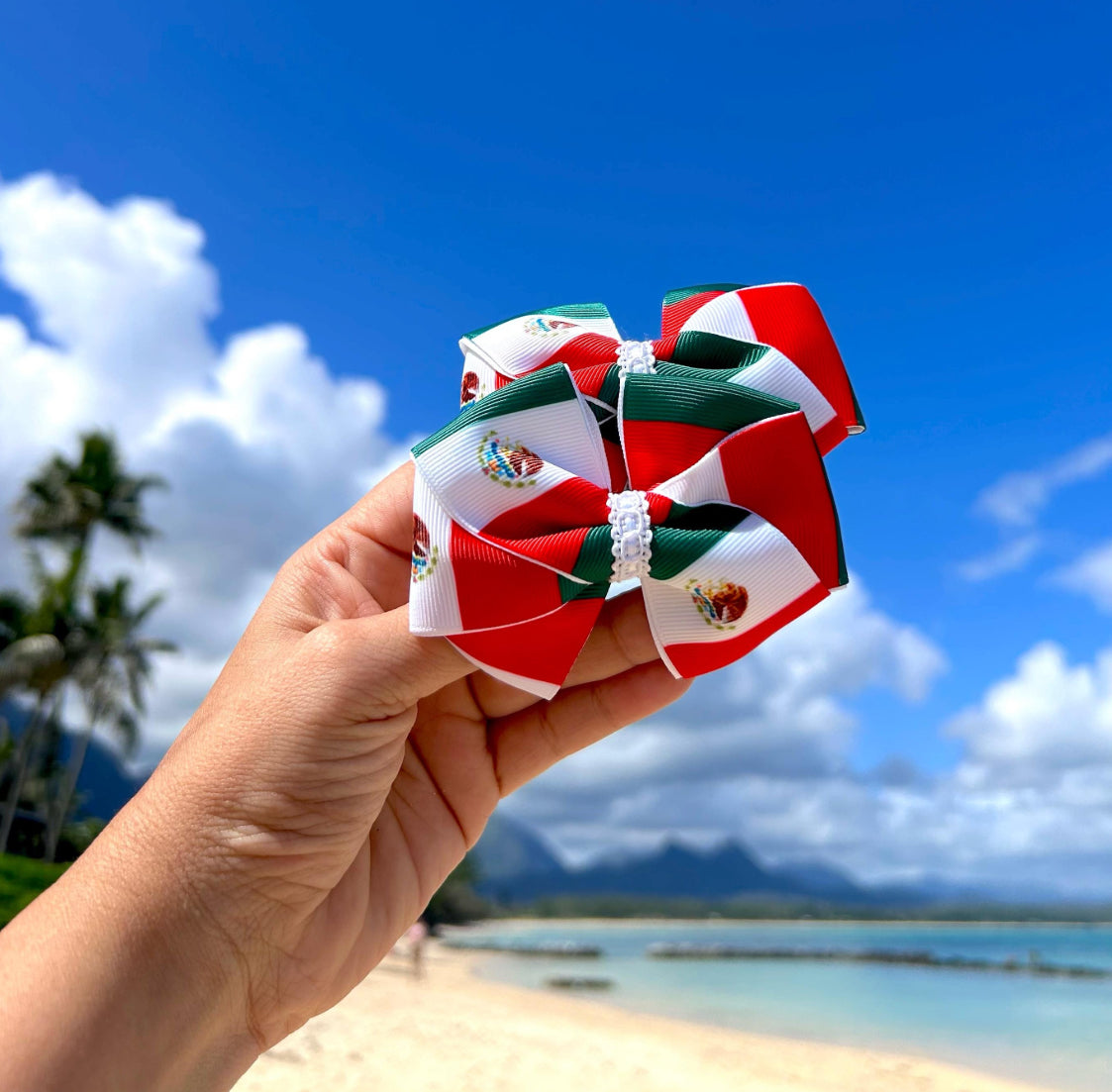 Mexico Flag Hair Bows | Cultural Heritage Hair Accessories for Kids & Toddlers